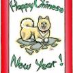 Happy Chinese New Year ~ Year of the Dog